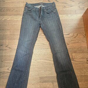 James Jeans Women size 26 Boot cut / flare